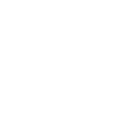 Capricorn zodiac sign