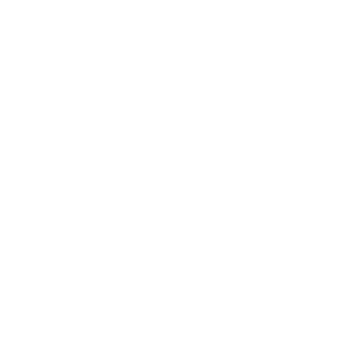 Gemini zodiac sign